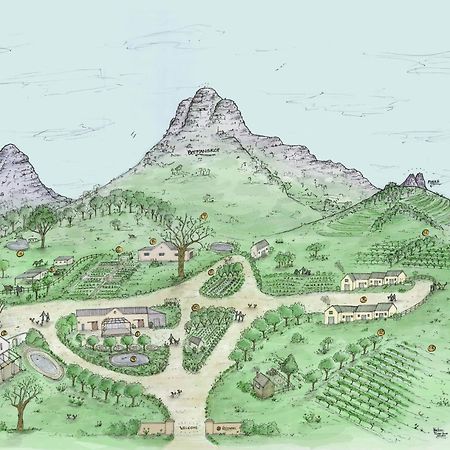 Rozendal Stay Stellenbosch Exteriér fotografie