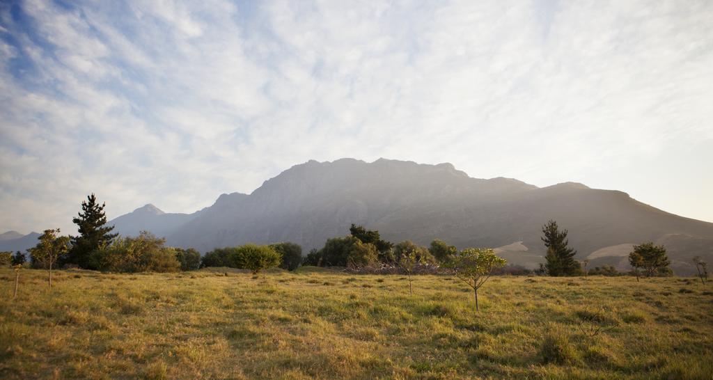 Rozendal Stay Stellenbosch Exteriér fotografie