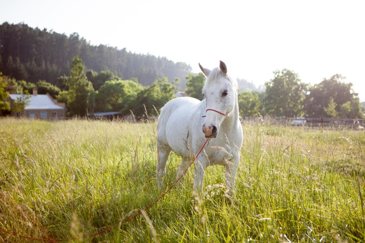 Rozendal Stay Stellenbosch Exteriér fotografie