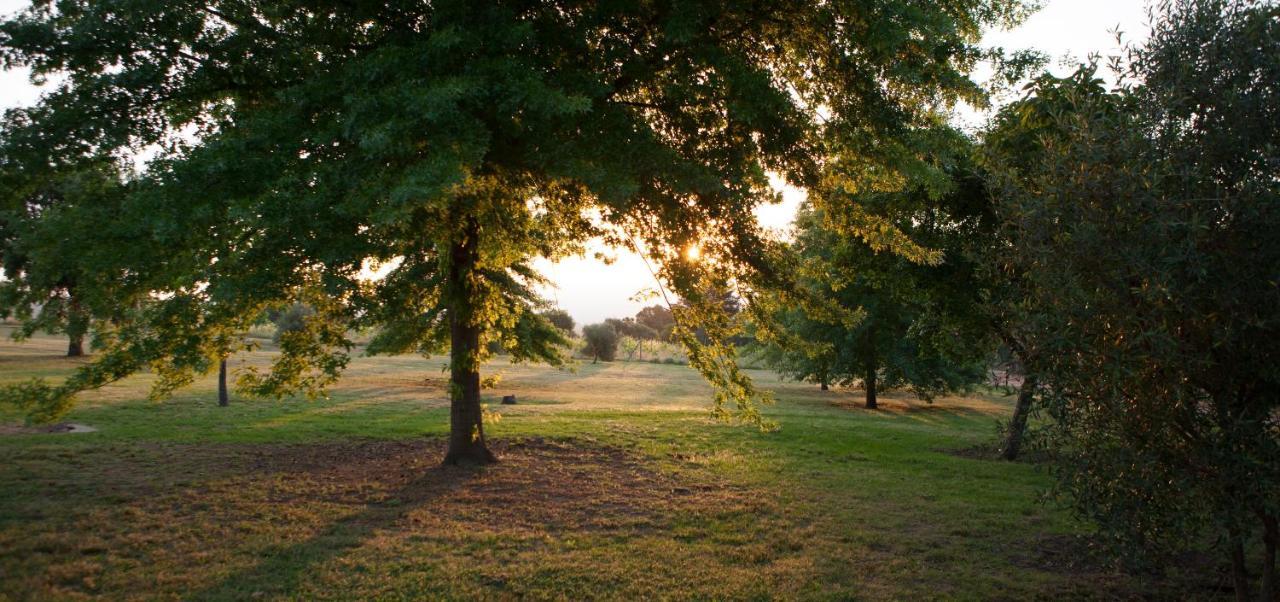 Rozendal Stay Stellenbosch Exteriér fotografie