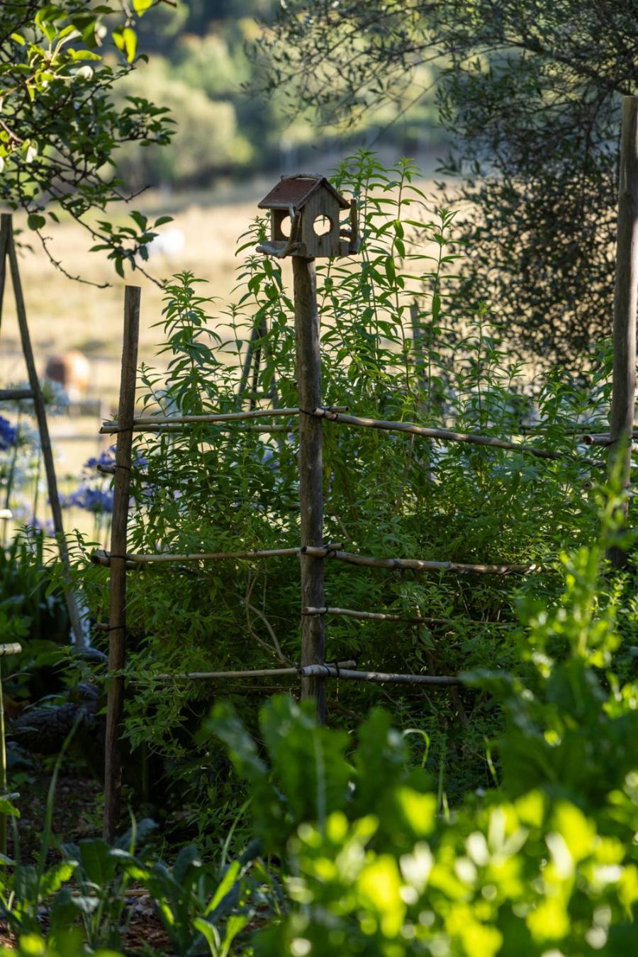 Rozendal Stay Stellenbosch Exteriér fotografie