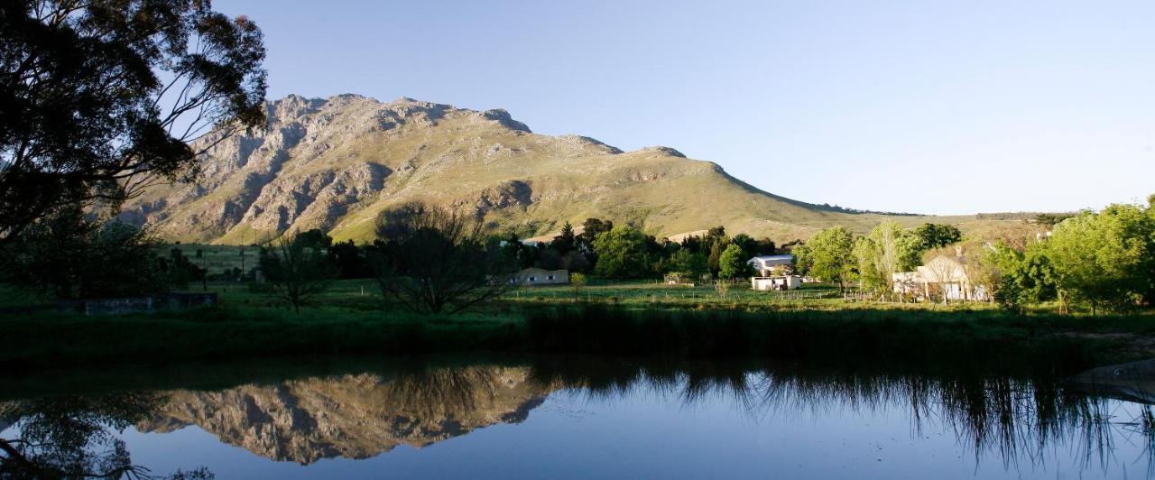 Rozendal Stay Stellenbosch Exteriér fotografie